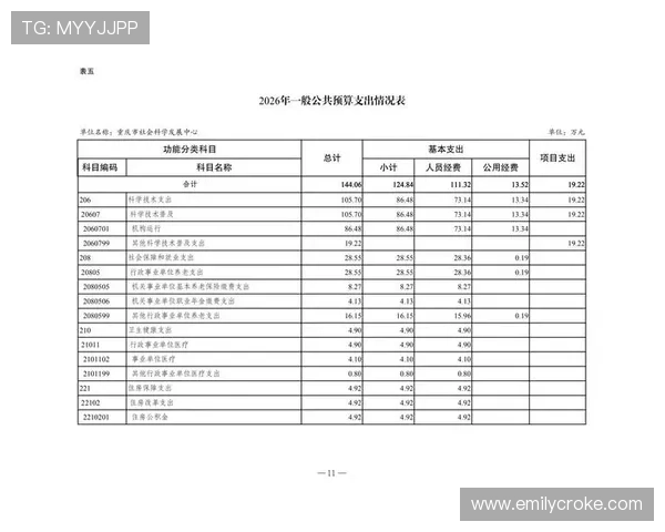 三公经费是哪三公的历史沿革与现代管理实践，帮助公众理解财政支出结构